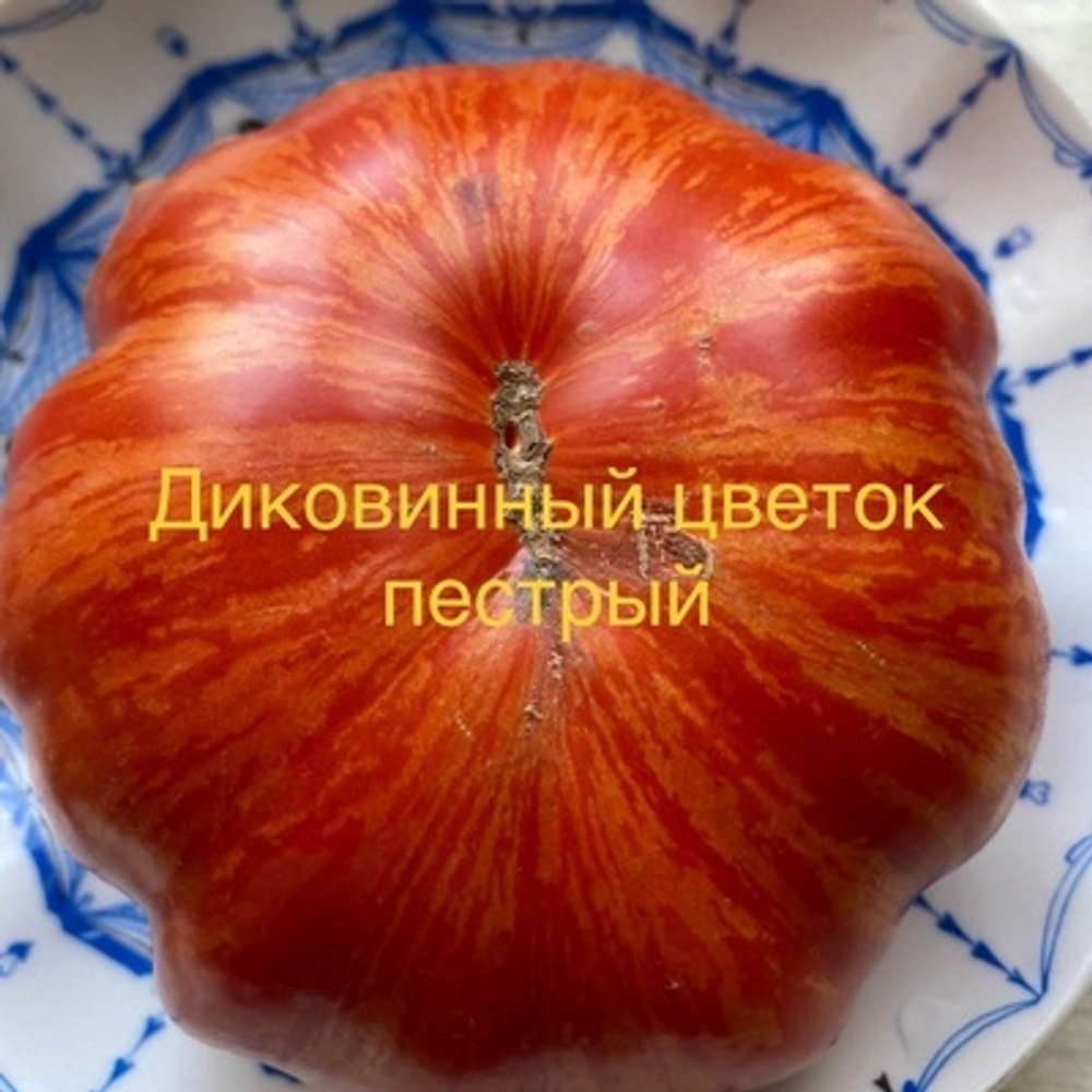Диковинный цветок пестрый
