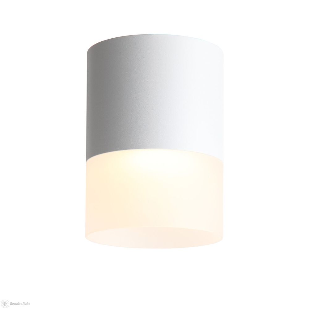 ST100.542.15 Светильник потолочный Белый LED 1*15W 4000K 1 170Lm Ra&amp;gt;80 120° D118xH150 170-240V Накладные светильники