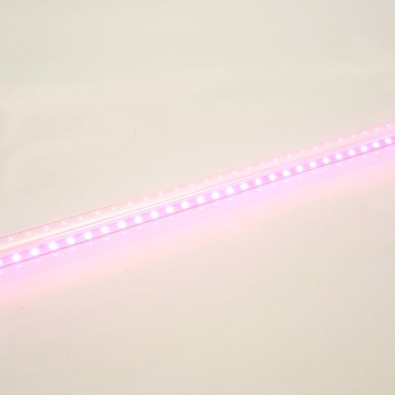 Лампа светодиодная для растений T8 Feron LB-7063 G13 стекло 0,6м 11W 175-265V красно-синий спектр 51662