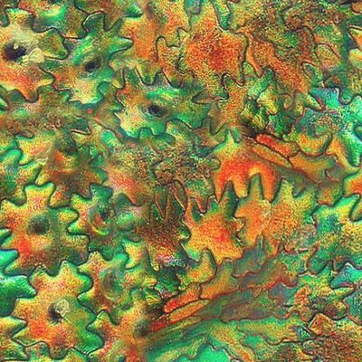 Зелено-оранжевый рисунок камня