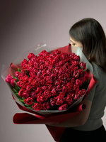 Тюльпаны (пионовидные) 101