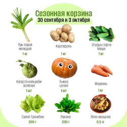 Сезонная корзина