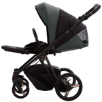 Детская коляска Bebetto Monti Pro 2 в 1 02 Stella т.зеленая кожа