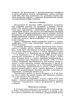 Основы биохимии виноделия | А.К. Родопуло