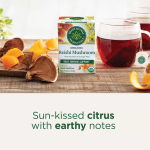 Traditional Medicinals, Органический гриб рейши с ройбушом и цедрой апельсина, без кофеина, 16 чайных пакетиков в упаковке, 24 г (0,85 унции)