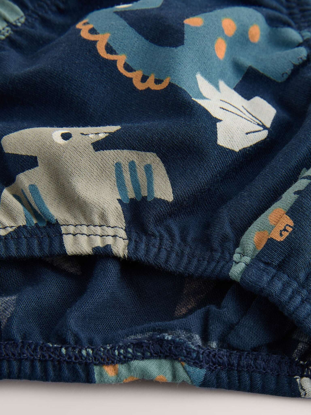 Трусы для мальчика Next AA1-135, 5 шт., Белый, Голубой, Синий