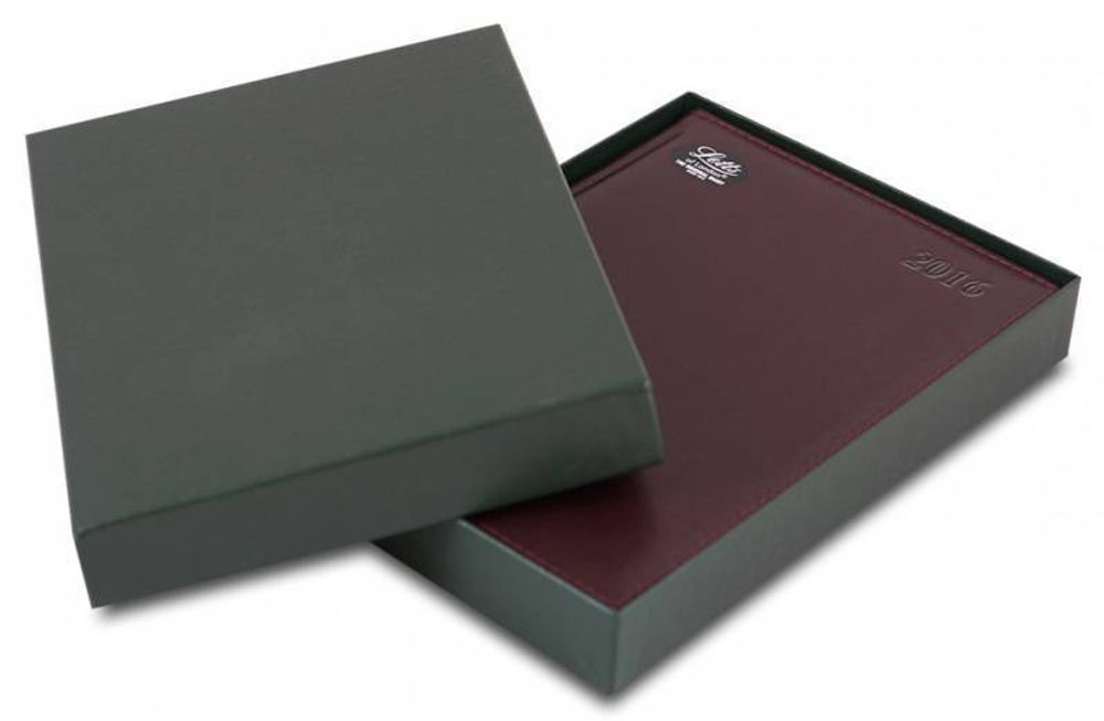 Ежедневник Letts GLOBAL DELUXE A5 недатир. натуральная кожа 412 127043