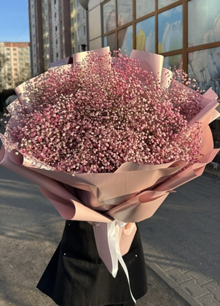 Букет розовой гипсофилы