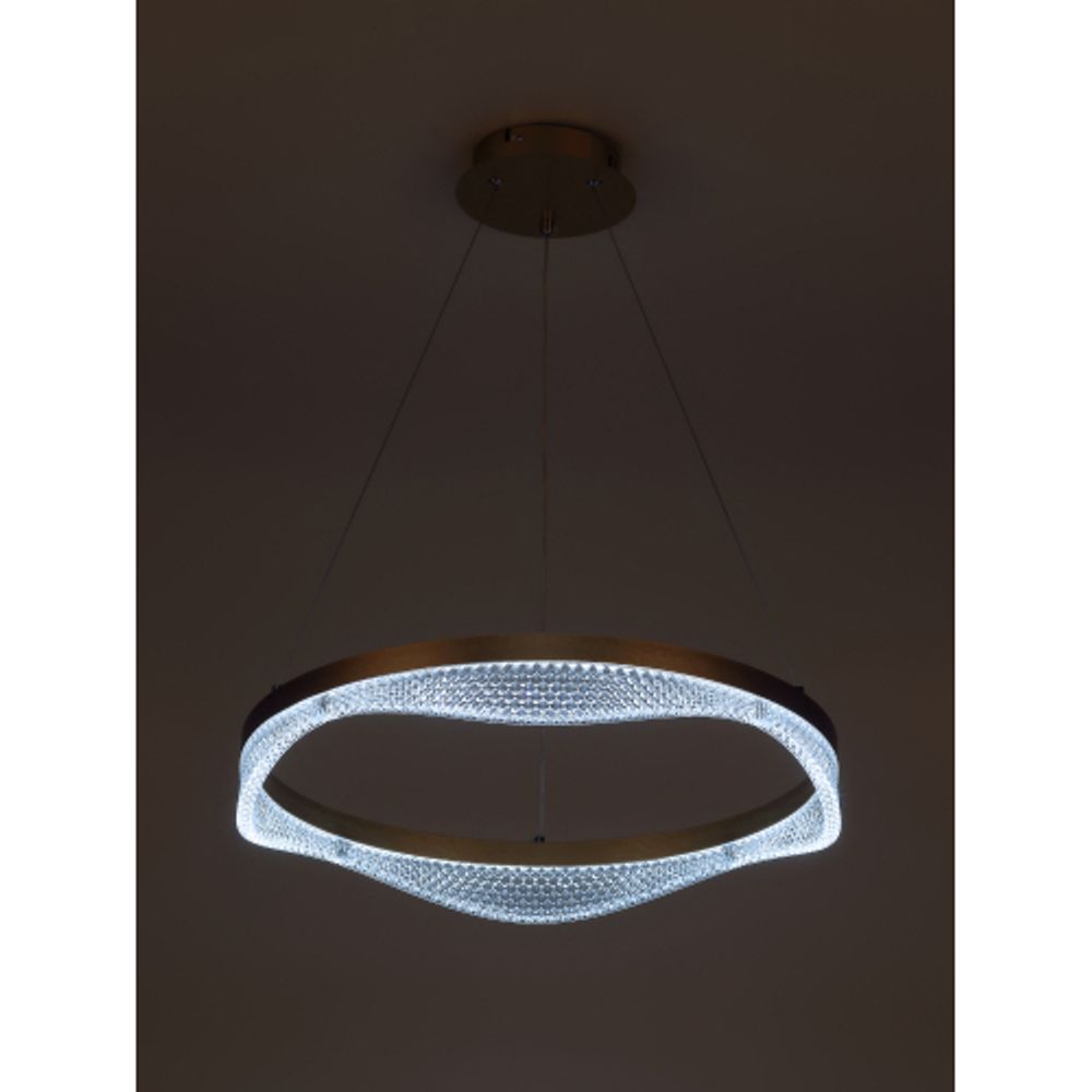 Светильник потолочный светодиодный Rivoli Dana 6189-201 LED 3000 - 6300К 56 Вт с пультом | Интерьерные светодиодные светильники