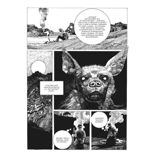 Комикс Коллекционер