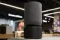 Bang & Olufsen Beosound Balance Black Oak