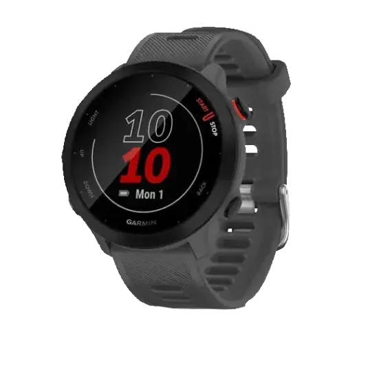 Garmin Forerunner 55 серые