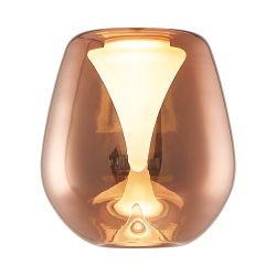 8942 Плафон ANDROMEDA