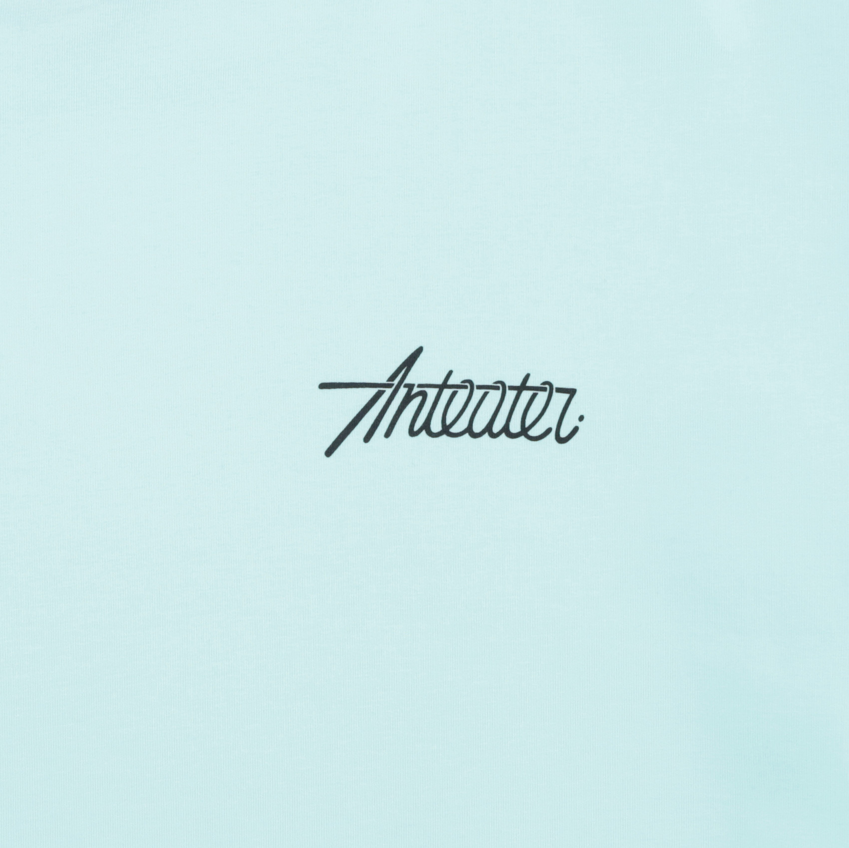 Футболка Anteater Phat Tee 499 (mint) артикул: - купить в магазине Дайс