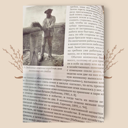 Крестьянский лен Олонецкой губернии в XIX – первой трети XX века. Набокова О.А.