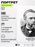 Портрет для школы в кабинет химии "Альфред Нобель", стенд школьный для класса, деятели науки для оформления классного уголка, 40х30 см, Silver Plane x Айдентика Технолоджи