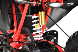 Электроквадроцикл White Siberia SNEG PRO R 3000W Черный