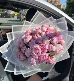 пионы купить