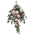 Роза ампельная розовая