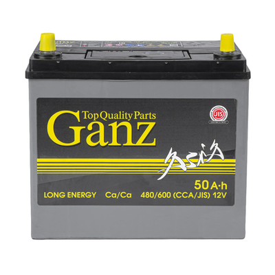 Аккумулятор GANZ ASIA 50 А/ч прямой L+ 238x129x225 B24 EN 480 А