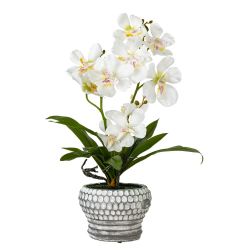 GAEM Цветочная композиция "Орхидея", L25 W23 H41 см