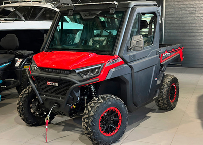 Багги АОДЕС Workcross 1000-3