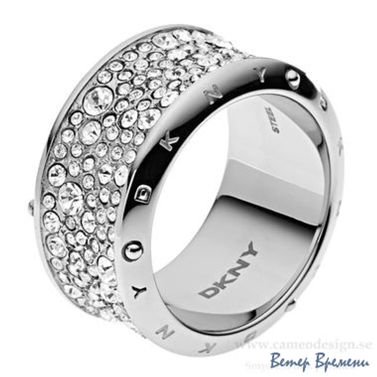 Бижутерия DKNY NJ2018040 (180)