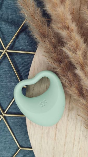 Эрекционное кольцо Satisfyer Perfect Pair 3