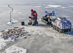 Мотобуксировщик BALTMOTORS Snowdog Standard Z15