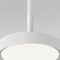 Подвесной светильник Elektrostandard Plate 50260 LED a065412