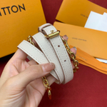 Louis Vuitton Speedy 20