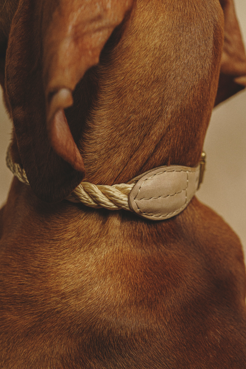 Ошейник "Кантри-Пони" Бежевый