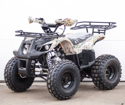 Квадроцикл STALKER 125 Fox