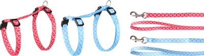Шлейка с поводком для котят AMSI 20-35см/10мм, в ассортименте