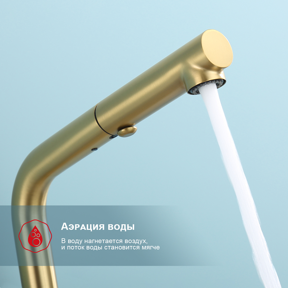 Смеситель для кухни с выдвижным изливом RAGLO R86.49.03