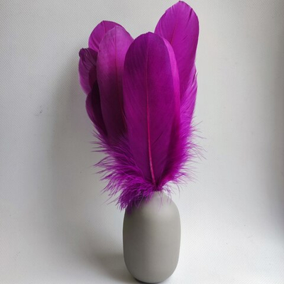 Гусиные перья баклажан ровные 20шт.