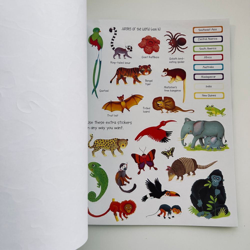 First Sticker Book. Jungle.