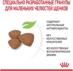 Royal Canin Mini Puppy Сухой корм Роял Канин для щенков мини пород, 2 кг