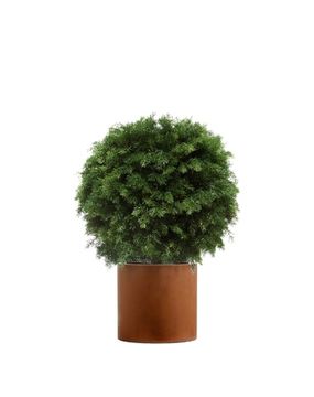 Комплект - Туя-Самшит 70 см в кашпо TREEZ Effectory Corten Steel