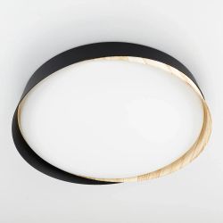 Citilux BONNY CL754351G LED RGB Светильник с пультом Черный+Клён