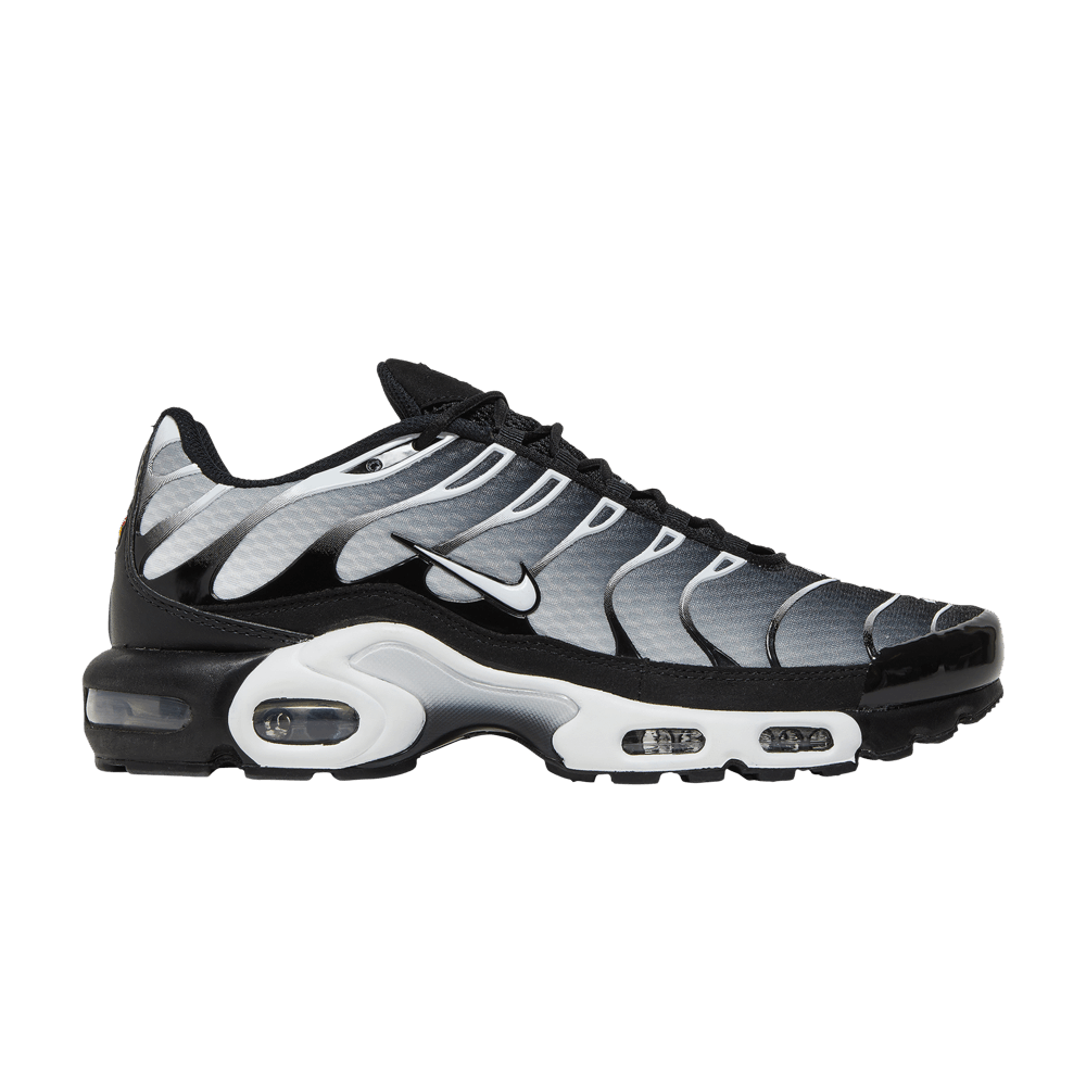 Кроссовки Nike Air Max Plus