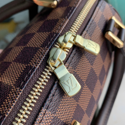 Louis Vuitton Ribera