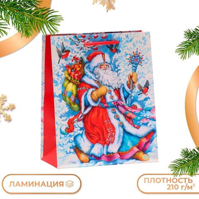 Новый год. Пакет подарочный Дедушка Мороз , 18 х 22,3 х 10 см.