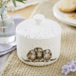 Royal Worcester Контейнер для совы Wrendale Designs 9,5x9,7 см