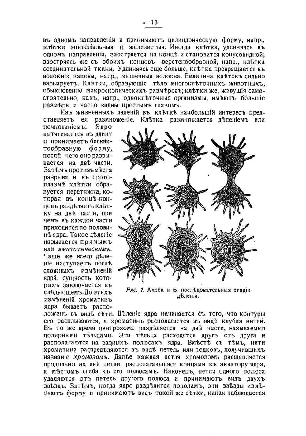 Медицинская зоология | Никольский Александр Михайлович