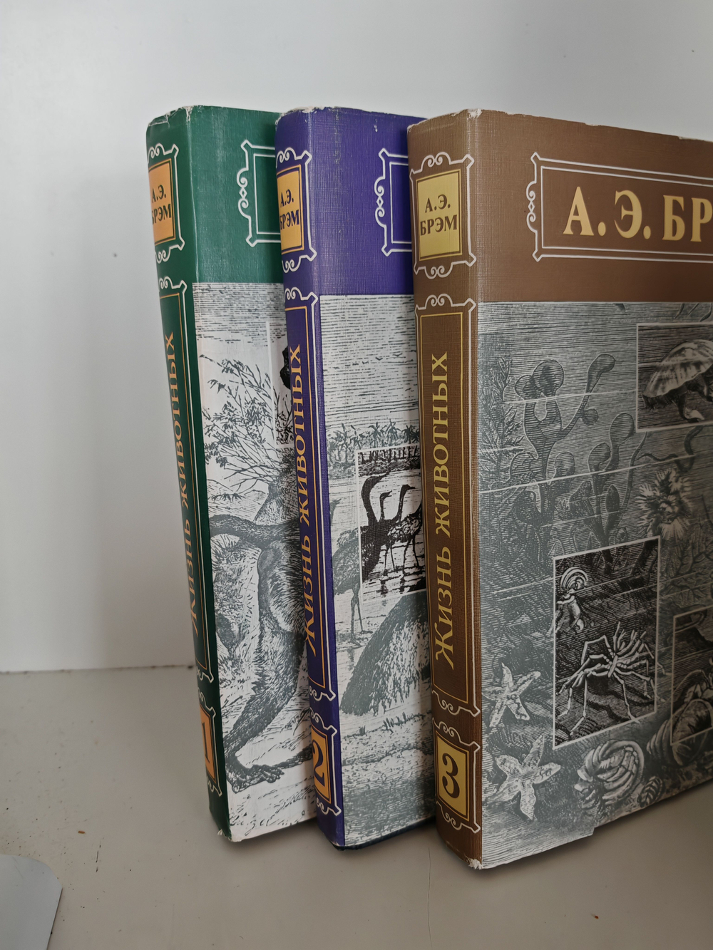Жизнь животных. В 3-х томах (комплект)