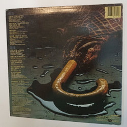 Винтажная виниловая пластинка LP Terri Gibbs Some Days It Rains All Night Long (USA Promo 1982)