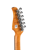 P800-Professional-800-DN Электрогитара, синяя, GTRS