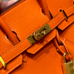 Hermes Birkin 25