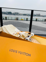 Louis Vuitton Skateboard